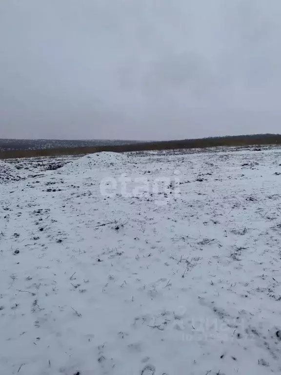 Участок в Белгородская область, Белгородский район, Головинское с/пос, ... - Фото 0