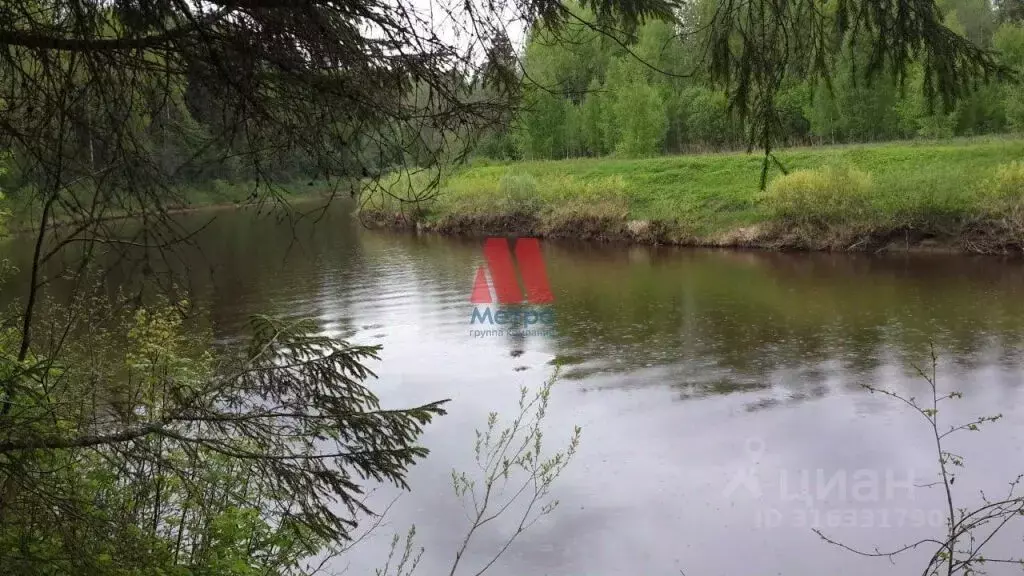 Участок в Ярославская область, Пошехонский муниципальный округ, ... - Фото 1