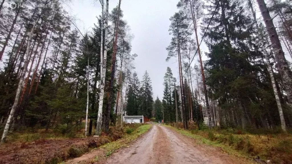 Участок в деревня Сарженка, дачное некоммерческое партнёрство Лесной ... - Фото 1