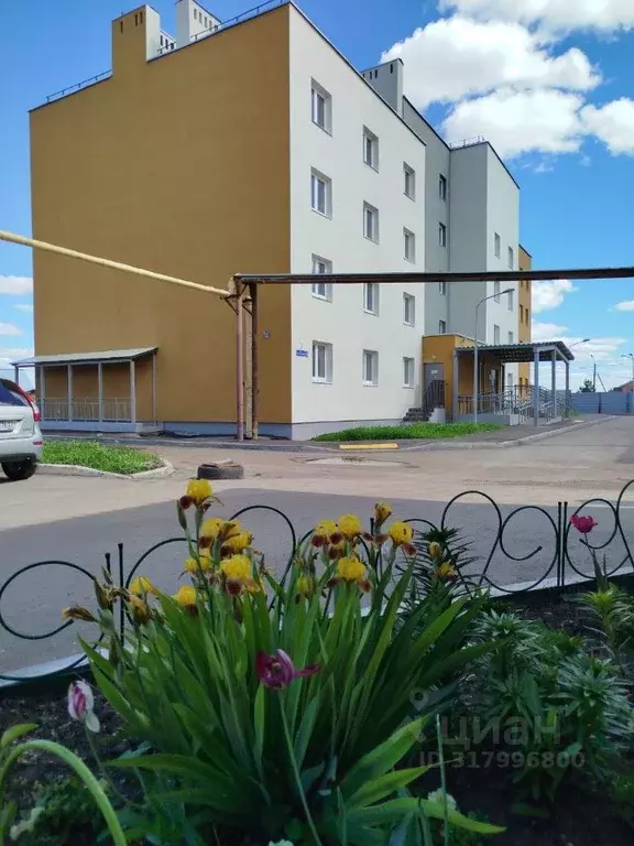 2-к кв. Самарская область, Кинель городской округ, Усть-Кинельский пгт ... - Фото 0