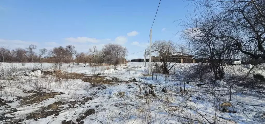 Участок в Амурская область, Благовещенский район, с. Усть-Ивановка  ... - Фото 1