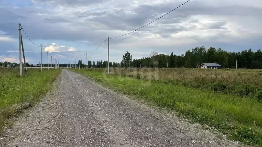 Участок в Тюменская область, Тюмень городской округ, Сосновая Поляна ... - Фото 1
