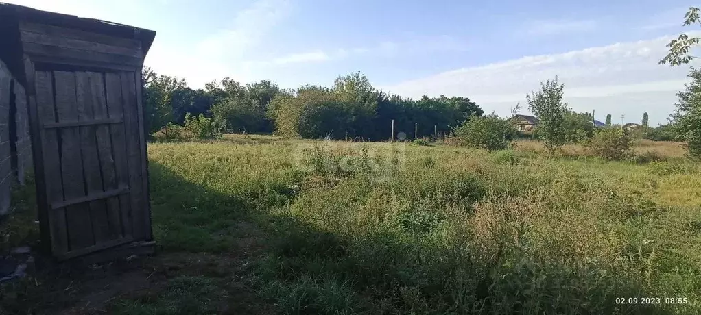 Участок в Саратовская область, Балашов ул. Шатилова, 49 (4.9 сот.) - Фото 1