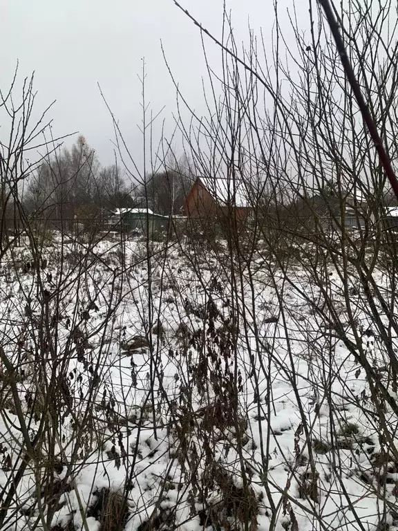 Участок в Калужская область, Калуга городской округ, д. Лихун ул. 1-я ... - Фото 2