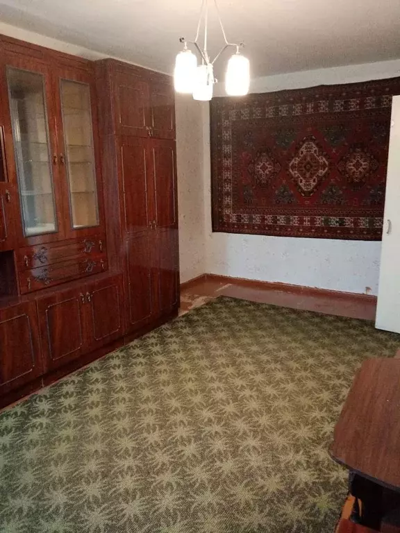 1-к кв. Нижегородская область, Саров ул. Шверника, 27 (32.6 м) - Фото 1
