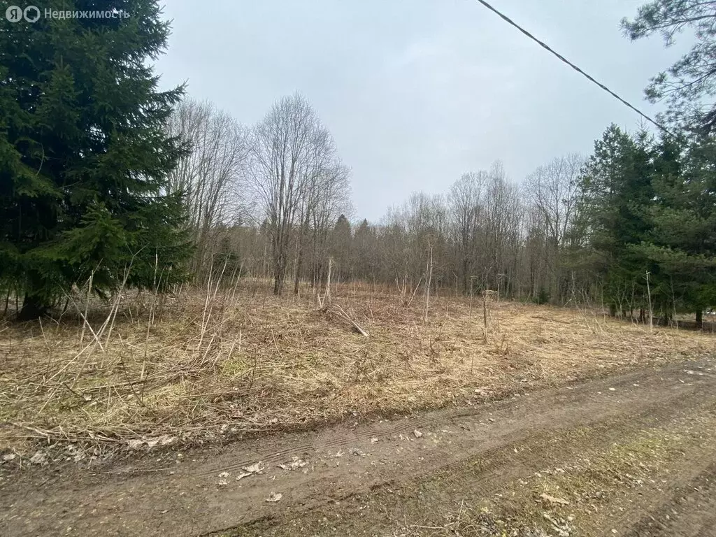 Участок в Волосовский район, Бегуницкое сельское поселение, деревня ... - Фото 1