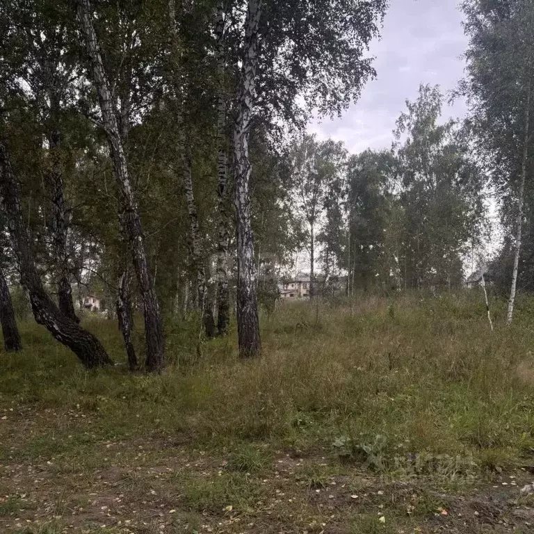 Участок в Новосибирская область, Новосибирский район, Каменский ... - Фото 1