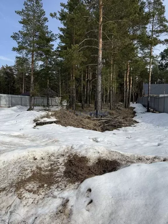 Участок в Нижегородская область, Дзержинск  (10.0 сот.) - Фото 1