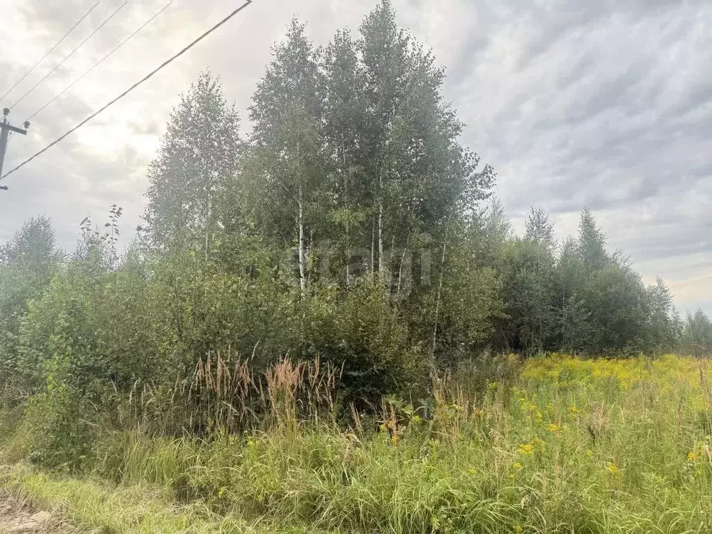 Участок в Марий Эл, Йошкар-Ола городской округ, д. Шоя-Кузнецово ул. ... - Фото 2