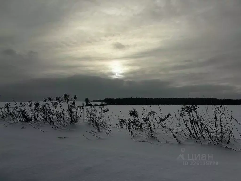 Участок в Московская область, Ступино городской округ, д. Благовское  ... - Фото 1