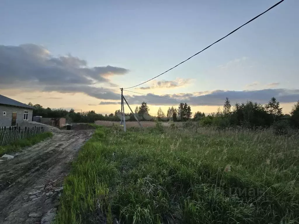 Участок в Тюменская область, Тюмень Поле Чудес садовое товарищество, ... - Фото 0