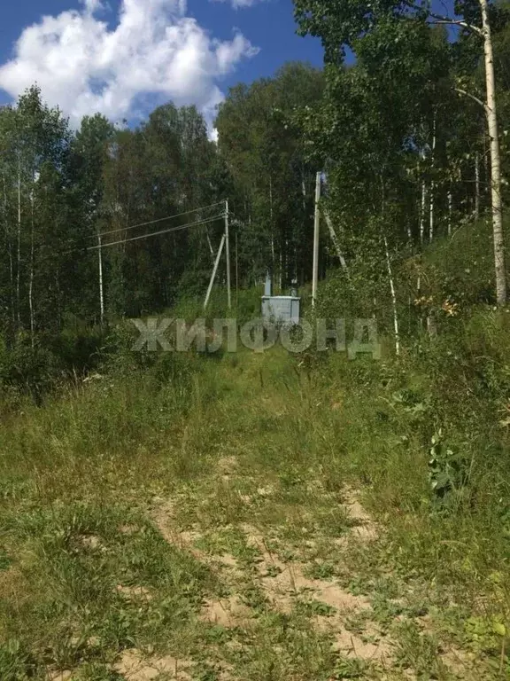 Участок в Новосибирская область, Искитимский район, Морозовский ... - Фото 2