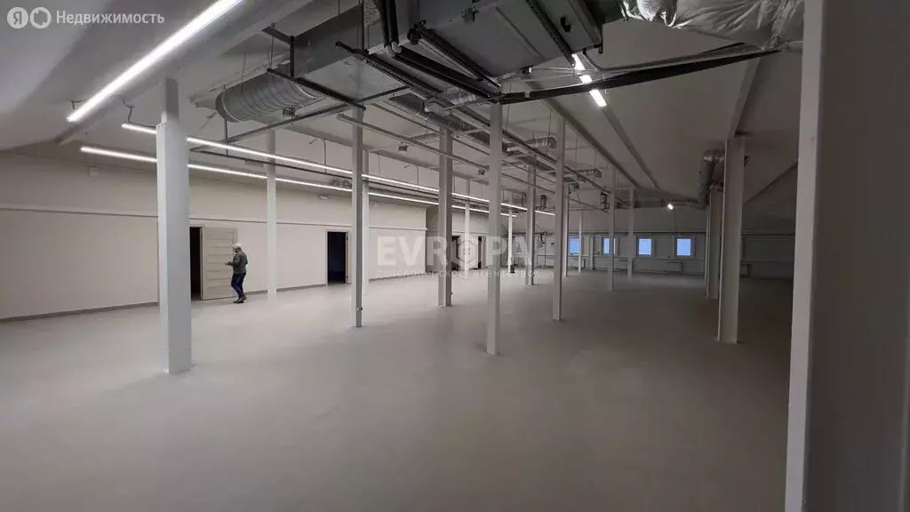 Офис (250 м) - Фото 2