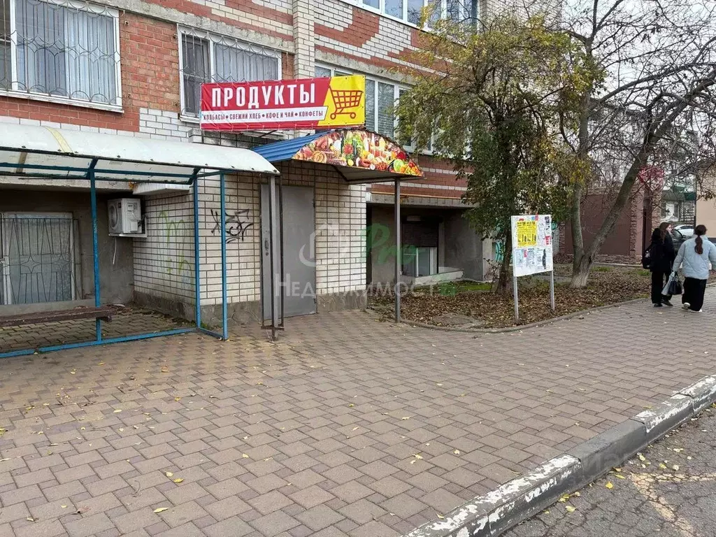 Помещение свободного назначения в Краснодарский край, Ейск Красная ... - Фото 1