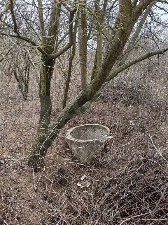 Участок 6 сот. (ИЖС) - Фото 1