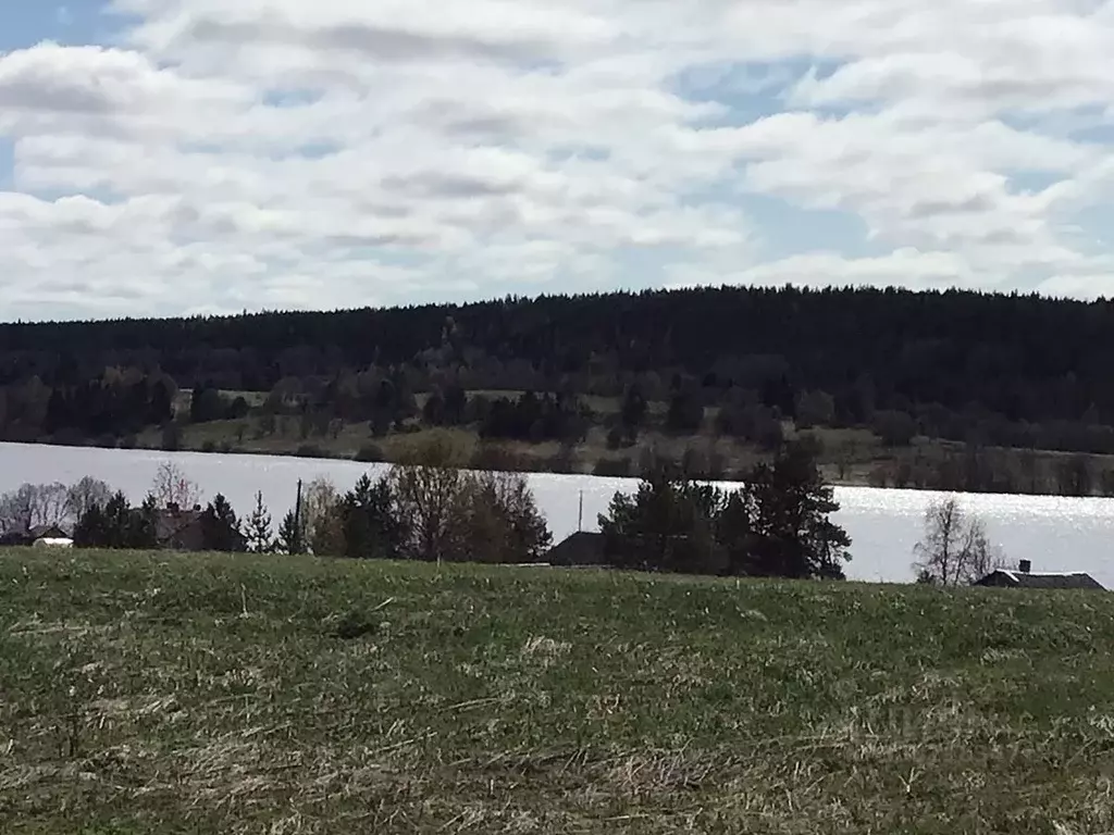 Участок в Карелия, Медвежьегорский район, Великогубское с/пос  (16.0 ... - Фото 2