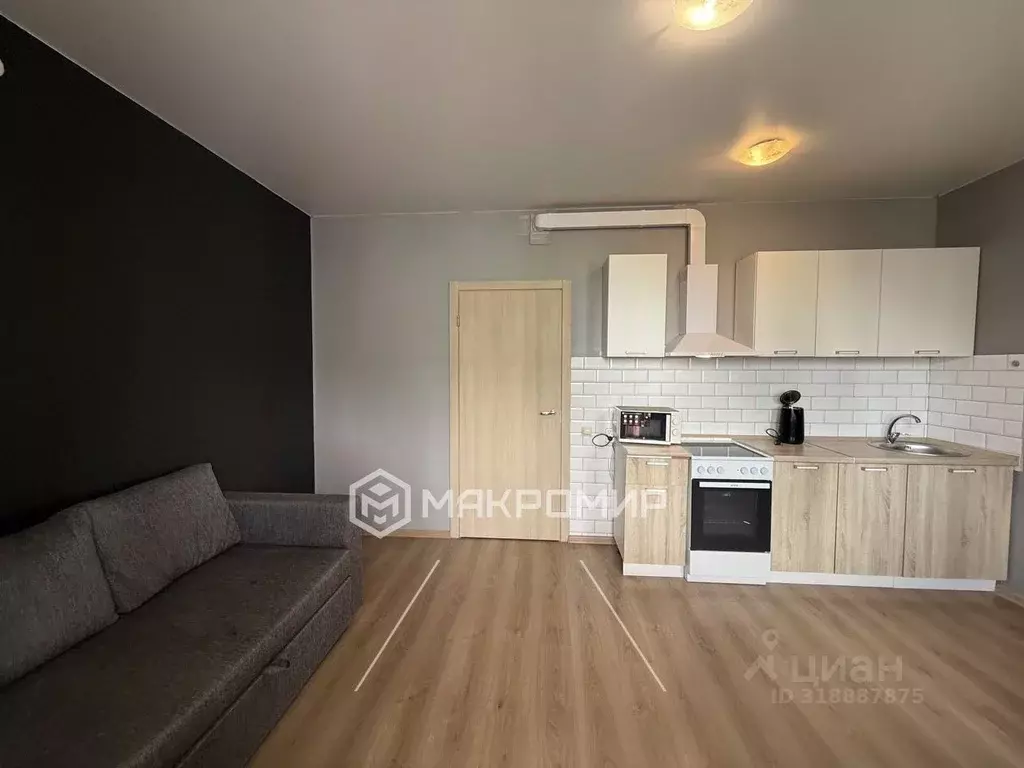 Студия Санкт-Петербург просп. Королева, 57к1 (24.3 м) - Фото 0