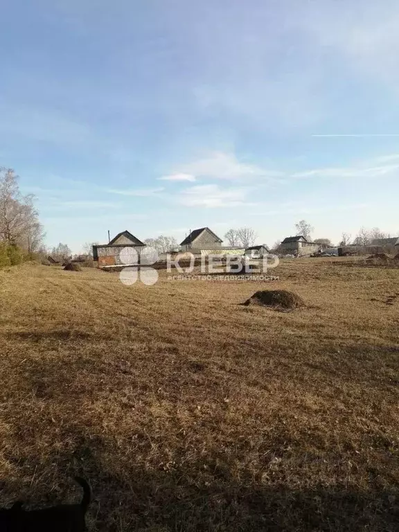 Участок в Пермский край, Чернушинский городской округ, д. Зверево ул. ... - Фото 0