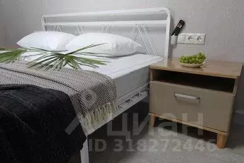 1-к кв. Краснодарский край, Сочи Сириус пгт, ул. Щирова (60.0 м) - Фото 0