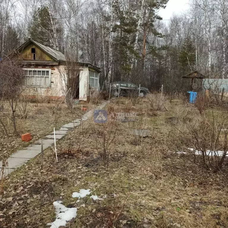 Дача 23 м на участке 5,4 сот. - Фото 1