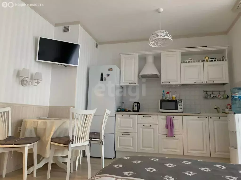 Квартира-студия: Санкт-Петербург, проспект Маршала Блюхера, 9к3 (23.7 ... - Фото 1