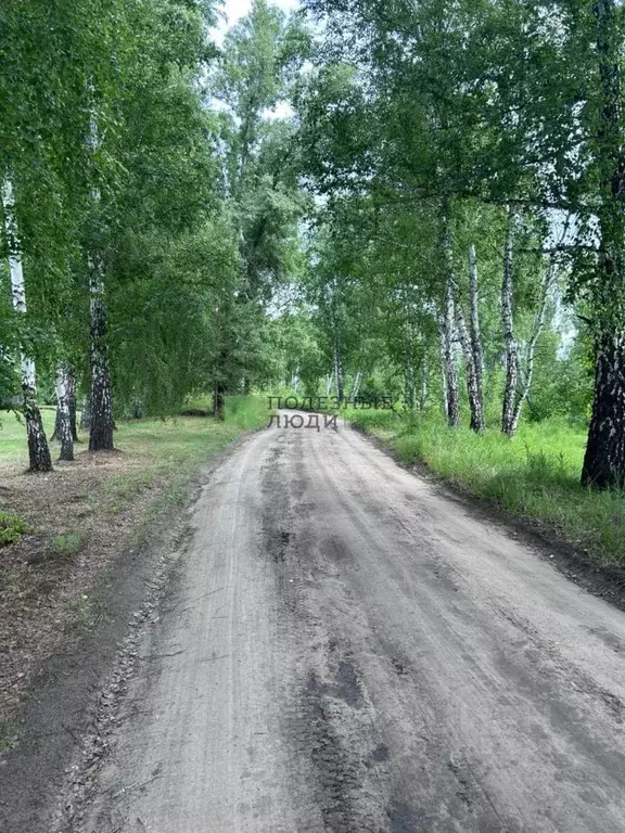 Дом в Курганская область, Кетовский муниципальный округ, Раздолье СТ  ... - Фото 0