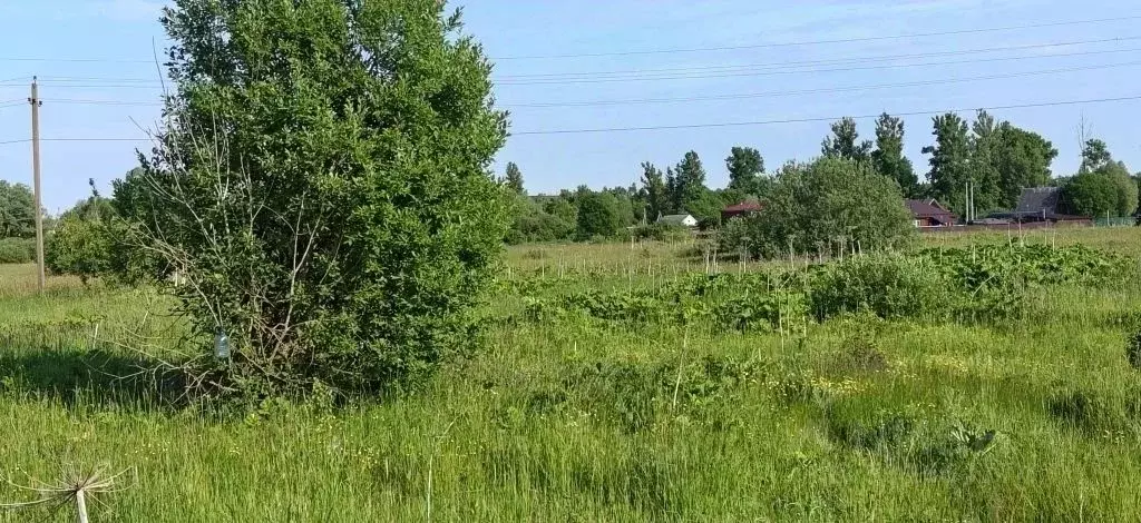 Участок в Московская область, Рузский муниципальный округ, д. Лидино  ... - Фото 2