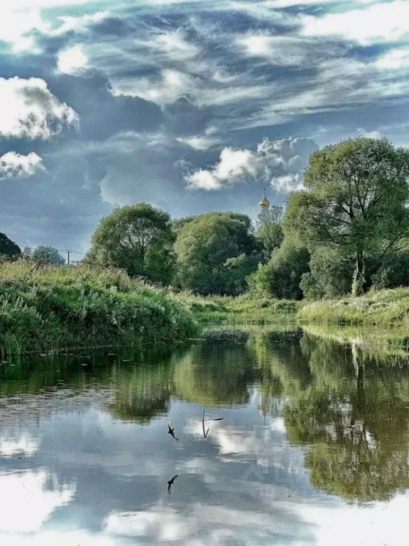 Участок в Тверская область, Конаковский муниципальный округ, с. ... - Фото 1