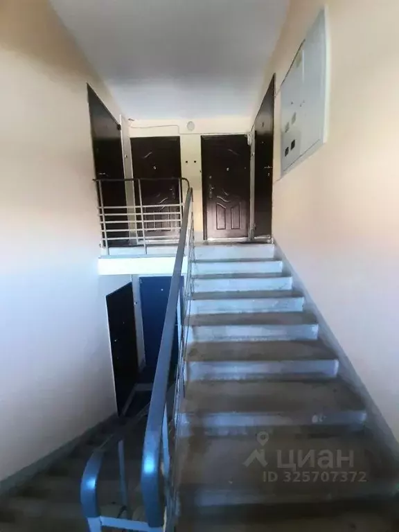 3-к кв. Ярославская область, Ярославский муниципальный округ, пос. ... - Фото 2