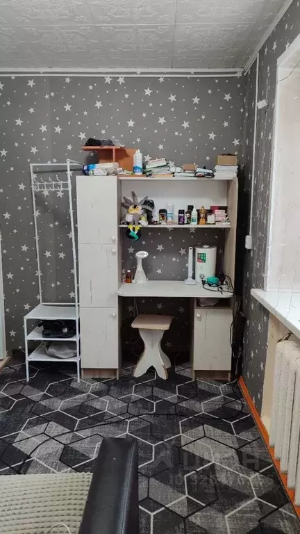 2-к кв. Курганская область, Курган Чернореченская ул., 91 (26.1 м) - Фото 2