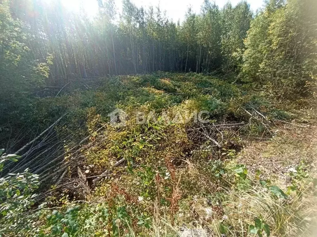 Участок в Коми, Сыктывкар городской округ, Верхняя Максаковка пгт ул. ... - Фото 0