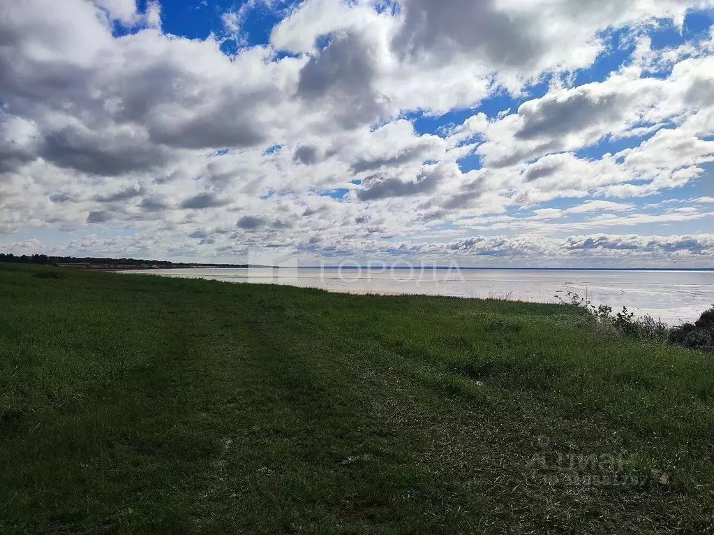 Участок в Новосибирская область, Новосибирский район, Морской ... - Фото 0