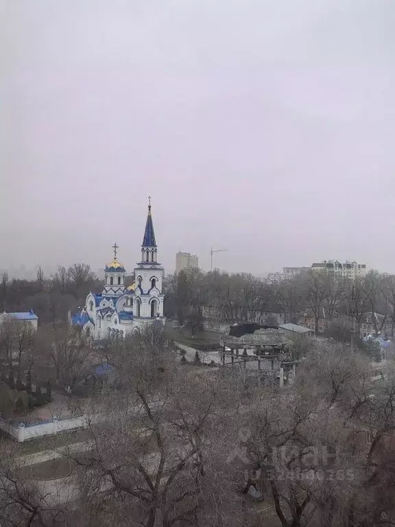 1-к кв. Воронежская область, Воронеж Транспортная ул., 65 (45.0 м) - Фото 1