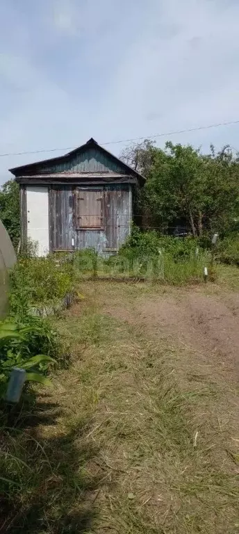 Участок в Нижегородская область, Выкса Строитель садовое товарищество, ... - Фото 2