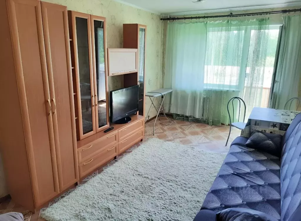 1-к кв. Красноярский край, Красноярск ул. Академгородок, 7 (31.0 м) - Фото 1