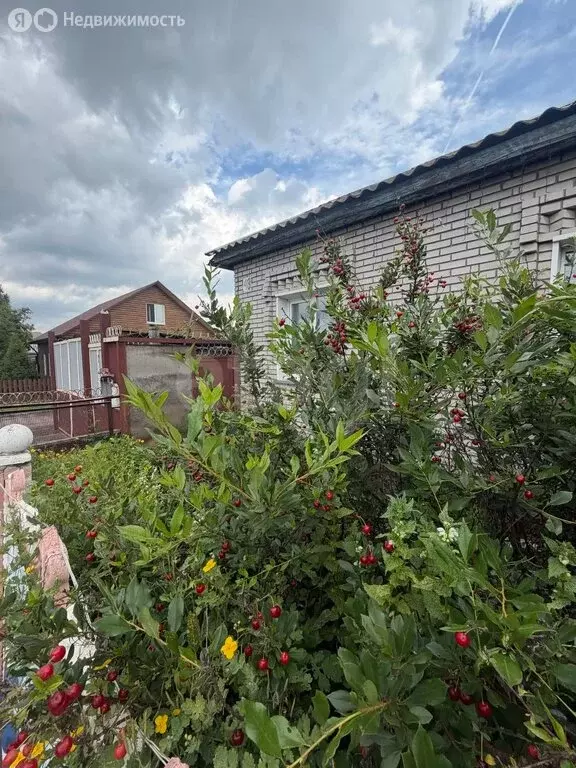 Дом в Черногорск, Инициативная улица (82 м) - Фото 1