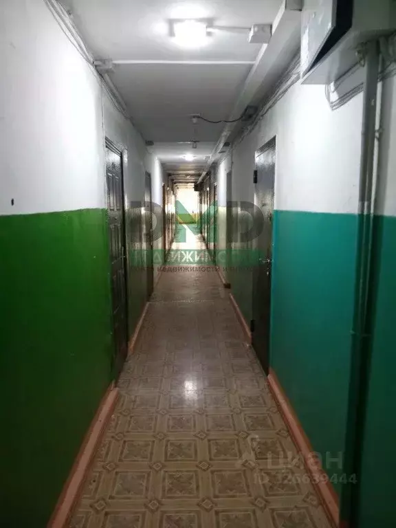 Комната Оренбургская область, Орск Новый город мкр, ул. Кутузова, 37к2 ... - Фото 1