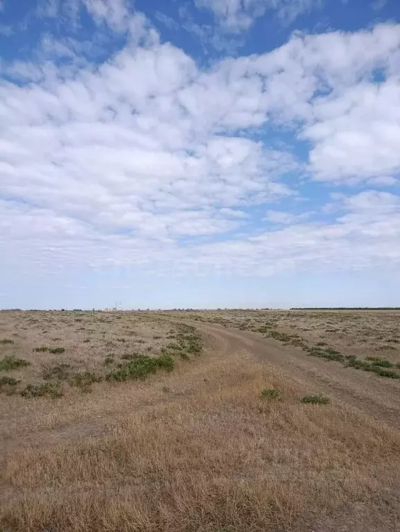 Участок в Крым, Красноперекопский район, Вишневское с/пос, с. Уткино ... - Фото 1