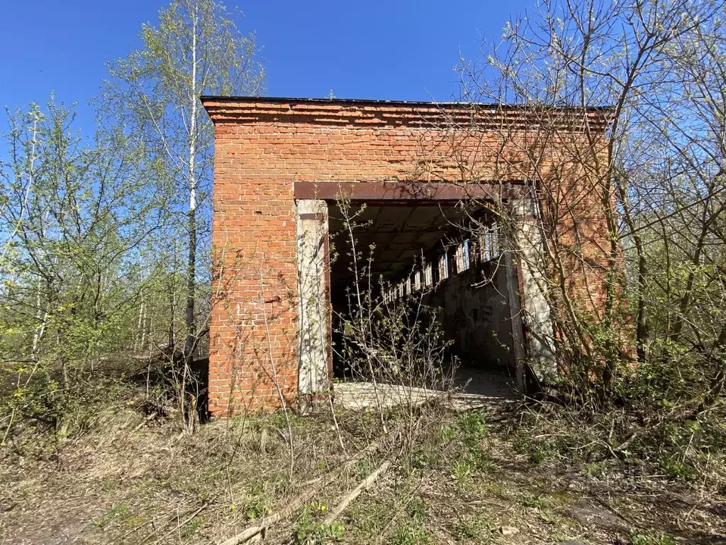 Помещение свободного назначения в Нижегородская область, Балахнинский ... - Фото 1