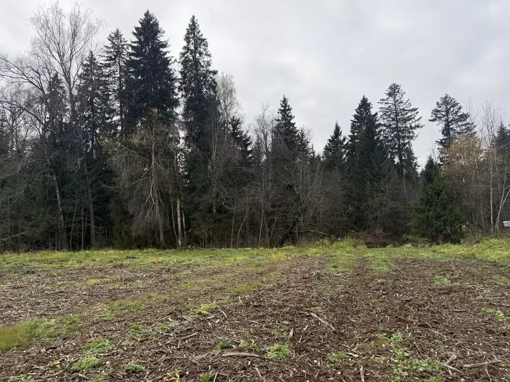 Участок в Московская область, Дмитровский муниципальный округ, Домик в ... - Фото 0