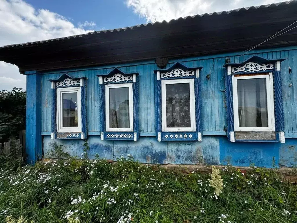 Дом в Удмуртия, Камбарский район, д. Нижний Армязь ул. Чернышева, 6 ... - Фото 2
