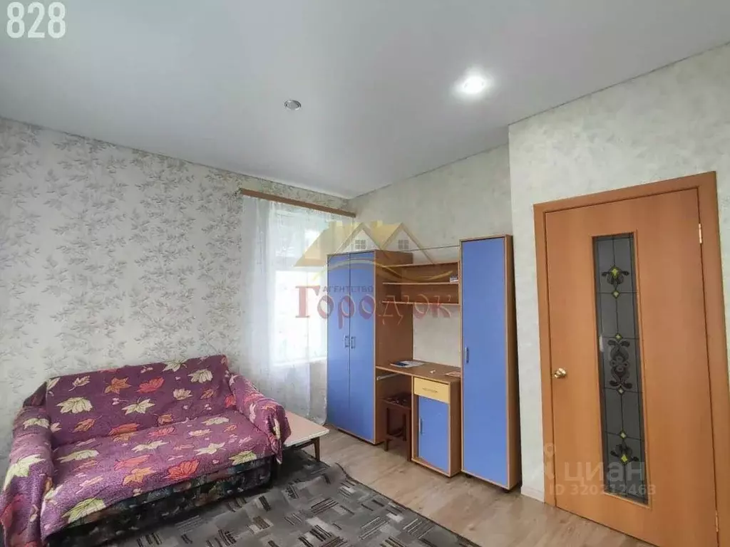 1-к кв. Воронежская область, Борисоглебск ул. Свободы (27.4 м) - Фото 1