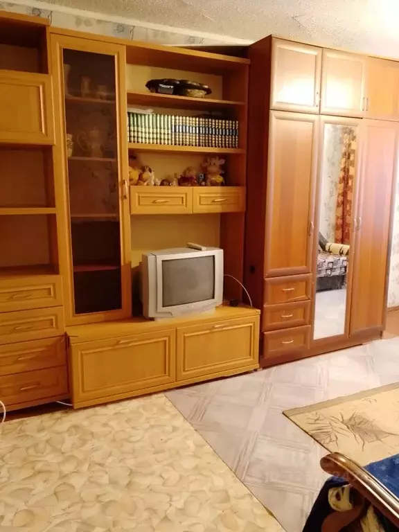 1-к кв. Ярославская область, Тутаев просп. 50-летия Победы, 25 (30.0 ... - Фото 2