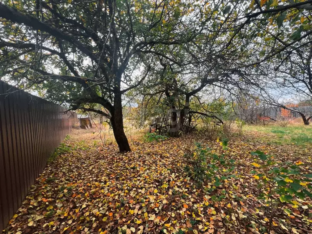 Участок в Московская область, Раменский городской округ, д. Минино ул. ... - Фото 0