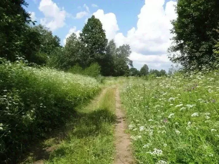 Участок в Тульская область, Щекинский район, Ломинцевское с/пос, д. ... - Фото 1