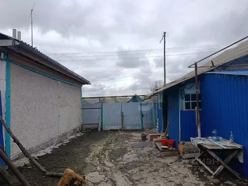 Дом в Белгородская область, Новооскольский муниципальный округ, с. ... - Фото 1