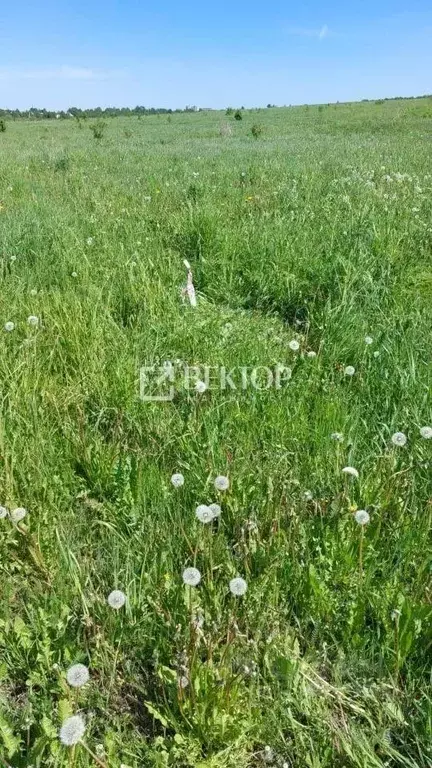 Участок в Ивановская область, Иваново ул. Дальняя Балинская (10.0 ... - Фото 2