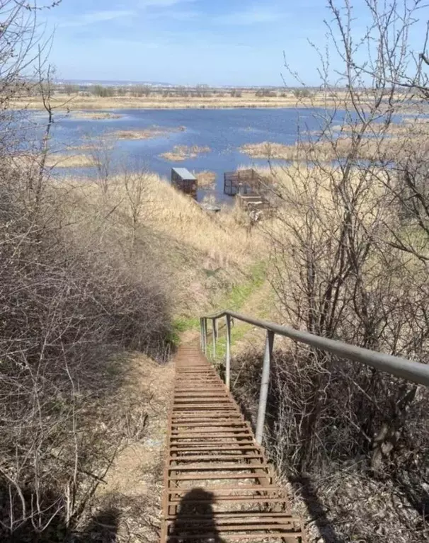 Участок в Саратовская область, Энгельсский район, Терновское ... - Фото 1