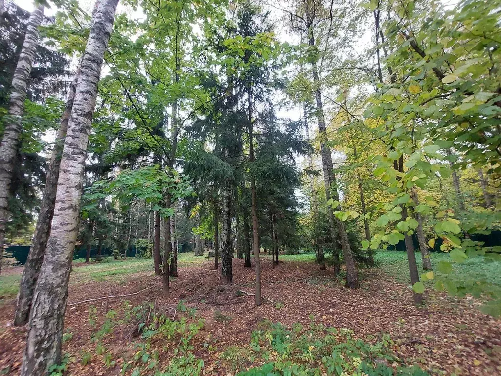 Участок, 26.3 сот., сельхоз (снт или днп) - Фото 1