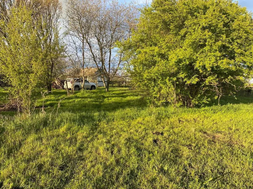 Участок в Краснодарский край, Красноармейский район, Новомышастовское ... - Фото 0
